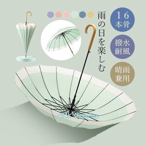 P JP fB[X P 16{ J v  킢 蕨 wlP fB[X ꂢ Z w Vv  JT