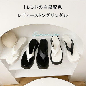 gO T_ fB[X r[T  Xbp gOT_  r[`T_ r gOXbp  gO T_ 