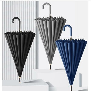 JP WvP Y P Jp StP jp  2type ^b` ܂ɂ 24{ P ɋ