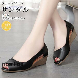 EFbW\[T_ fB[X T_ nCq[ pvX  r EGbWT I[vgD 40 ₷ JWA l  Vv