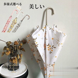 P fB[X Wv P JP WvP S5F 86cm  ԕ  킢 Au J CObY P ^b`  킢