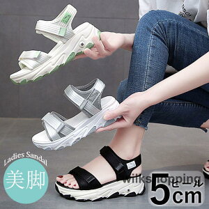 T_ fB[X  X|[cT_ T_ q[ 5.5cm tbg ₷  AEghA  sy r[`T_ Ȃ r