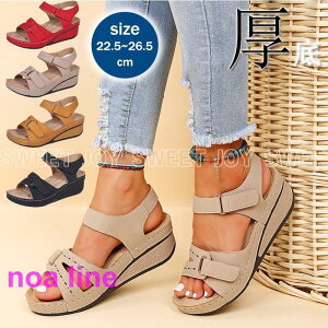 T_ fB[X  T_ EFbW\[ V[Y Xgbv ₷ ɂ y JWA ꂢ  r[`T_ ₷