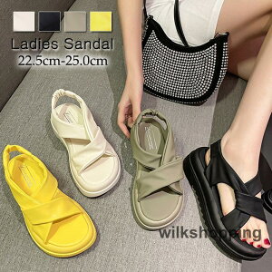 X|[cT_  fB[X RtH[g T_ r[`T_ xN Xj[J[ X|[c T_ ₷ AEghA r JWA