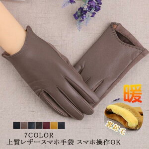 U[O[u U[ fB[X pu X}zΉ N  O[u g  ^b`plΉ ʋ Mtg H~