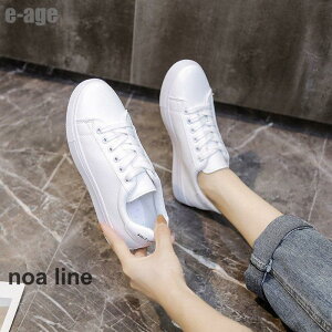 Xj[J[ fB[X V[Y ^C JWA Xj[J[ Ȃ X|[c C ʋ ʊw Vv 