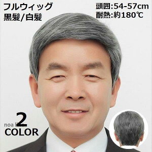 tEBbO  Y jp Np N  ubN  i` R ~fBAV[g Xg[g