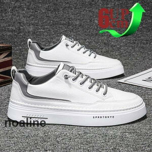 V[NbgV[Y  gAbv6cm up6cm wȂ Y Xj[ J[ V[NbgV[Y Cq[ K Xj[J[ amC SC