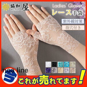  A[Jo[ ԕ [X V[g fB[X  w wȂ wt O΍ i l t ^]   Mtg