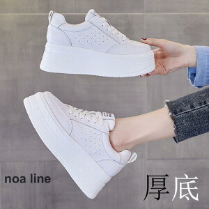 Xj[J[ fB[X X|[cV[Y C X|[c V[Y ~ h r r ₷ Ȃ ɂȂ ʋC Vv ʋ ʊw