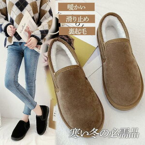 [gu[c fB[X Xm[u[c N ~  h ~C Xm[V[Y V[gu[c ₷  g ʊw ʋ