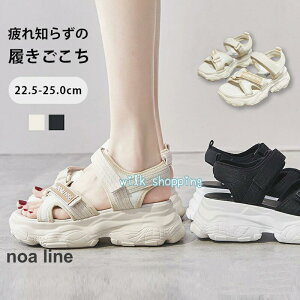 fB[X  T_ ₷ X|[cT_ _bhV[Y X|T22.5`25.5 bNX Q fB[X ₷ r[`Xbp rC