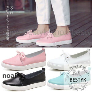 Xj[J[ fB[X tbg {v { n EhgD [q[ C r V[Y ₷ pvX t  H