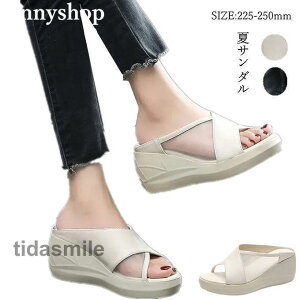 T_ r ~[ ăT_ fB[X ₷ EFbW\[  T{T_ s ʋ ItBX r[`T_ ʋC JWA ĕ