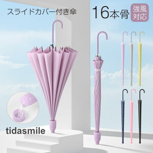 P P JP 傫 16{P ϕ Jp ^b` SՌ ՔM  Jo[t ꕔ[ Y fB[X 䕗΍ J΍ ~JΉ