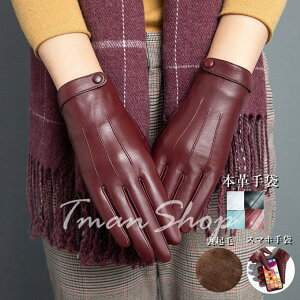  fB[X H~ X}[gtH X}z U[ V[vXL { Vv O[u ^b`plΉ  h h ㎿  N