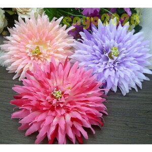    RXX l@U@Ǝ ܎O@@я@RT[W@wAANZT[@  ][gɂ