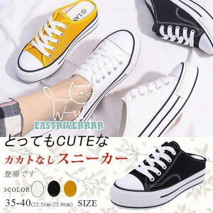 Xb| fB[X y ƂȂ ҂ݏグV[Y [XAbv LoX  tbg JWA n ₷ r   S3F