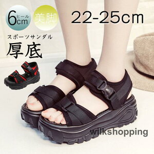 X|[cT_  fB[X RtH[g T_ r[`T_ xN Xj[J[ X|[c T_ ₷ AEghA r JWA