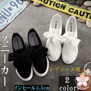 Xj[J[ fB[X {   [Jbg Cq[3.5cm JWA Vv  Xb| XbvI  10 20 30 40