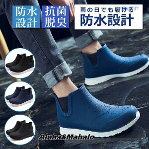 Cu[c CV[Y Y fB[X h h ~J ΍  RȂ Lb`V[Y AEghA ނu[c V[g ʋ ʊw