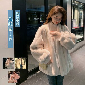 єR[g fB[X t@[R[g n   tFCNt@[  h g  ӂ  AE^[ ~p 