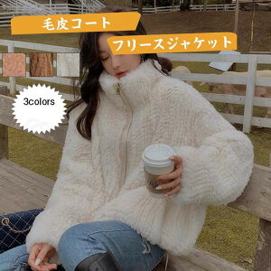 єR[g fB[X t[X n   tFCNt@[  h g  ӂ AE^[ ~p 