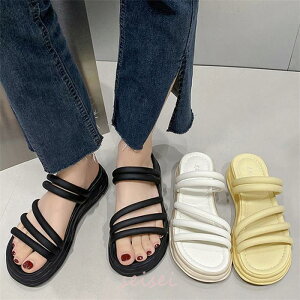 T_ fB[X ₷   Vv   T_ y ăT_ ؍  ₷  C V[Y