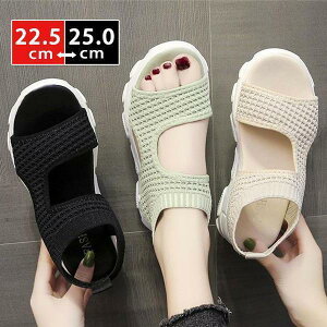 T_ fB[X X|[cT_ [q[  jbg y ₷ 傫TCY ɂȂ ʋΒʊw