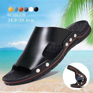 r[`T_ Y T_ Xbp ~ 傫TCY r[` C v[ r[T JWA  V