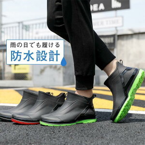 Cu[c CV[Y Y V[g Xj[J[ ~  C JC ƌC  ~J΍ AEghA ʋ ] Jp