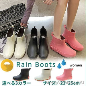 Cu[c fB[X V[g JC h h C  CV[Y n