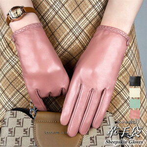 fB[X v U[O[u {v U[ v X}zΉ ^b`plΉ g O[u 킢 p h ʋ Mtg  H~