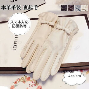 {v fB[X O[u N {At 5{w U[ n X}zΉ w悠 hh g ꂢ 