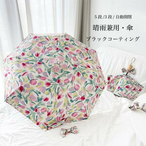  Au JP fB[X JP J ^b` `[bv P UVJbg P 蓮   ܂肽ݎP 3i ܂肽