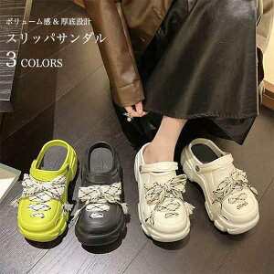  T_  RtH[gT_ fB[X V[Y  T_ 6cm Ol܂ Xbp ~ XbpT_ h r[T