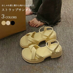  T_  fB[X XgbvT_  r  V[Y PUU[ OJ T_ r[T PUT_ C 