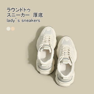  Xj[J[ fB[X tbgV[Y ΂ȂR  ~ ɂ ₷ Vv ʊw ʋ U o tďH