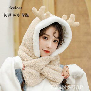 t@[Xq }t[ Xk[h fB[X tFCNt@[  RR ӂӂ  h Xq   ~ V