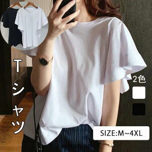 _炩ėD Vv n vI[o[ t TVc t  fB[X