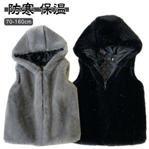 xXg LbY q t@[xXg t[ht RR ӂӂ tFCNt@[ xXg W ~ H AE^[ HD   h 