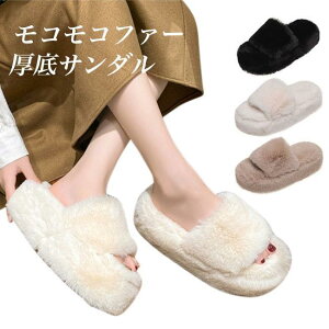  t@[Xbp fB[X {AXbp RR ~T_ ~[ XbpT_ XNGAT_ H V[Y  O