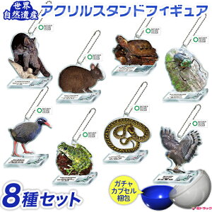 ꌧYi ݌Ɍ ERY ANX^htBMA S8 K` lC`[eNjJ[ ^[pbNOZ[