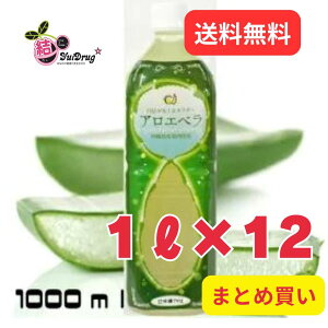 12Zbg ꌧYAGxW[X Q1L 1 AGxW[X 1000ml ꌧYi MtgZbg MtgZbg N  MtgZbg/N 