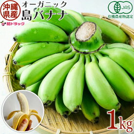 期間限定 オーガニック　沖縄県産島バナナ 1kg前後5月下旬〜9月上旬順次出荷