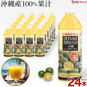 y20JnGg[P10{z nHi V[N[T[100% ybg 500ml×24