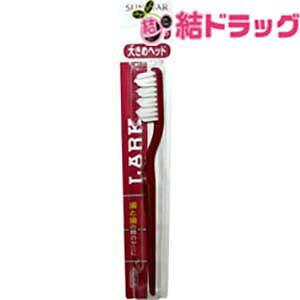 TX^[ [N nuV 傫߃wbh 1{