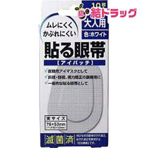 �\���� �A�C�p�b�` ��l�p(10����)