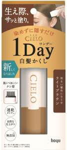 VG f[ 1Day  CguE oO 1߂  z[[