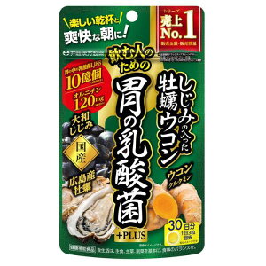 井藤漢方製薬 しじみの入った牡蠣ウコン 胃の乳酸菌プラス 30日分  送料無料